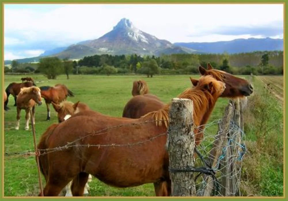 Camping Arbizu Eko Kanpina