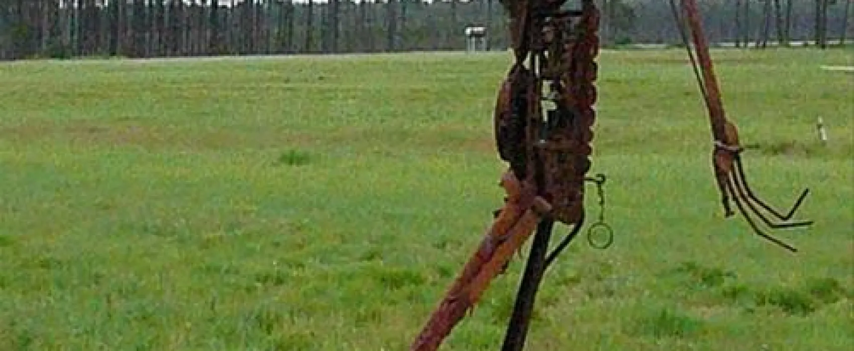 Aire Naturelle de Camping du Toy