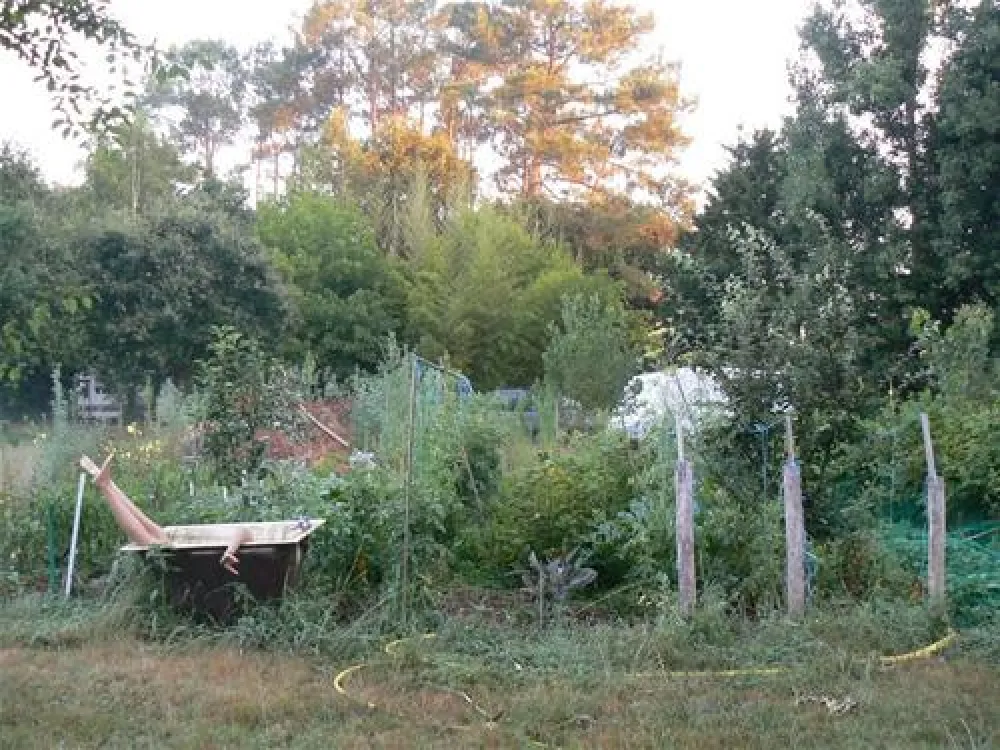 Aire Naturelle de Camping du Toy