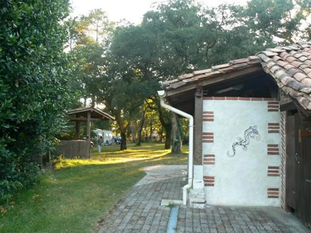 Aire Naturelle de Camping du Toy