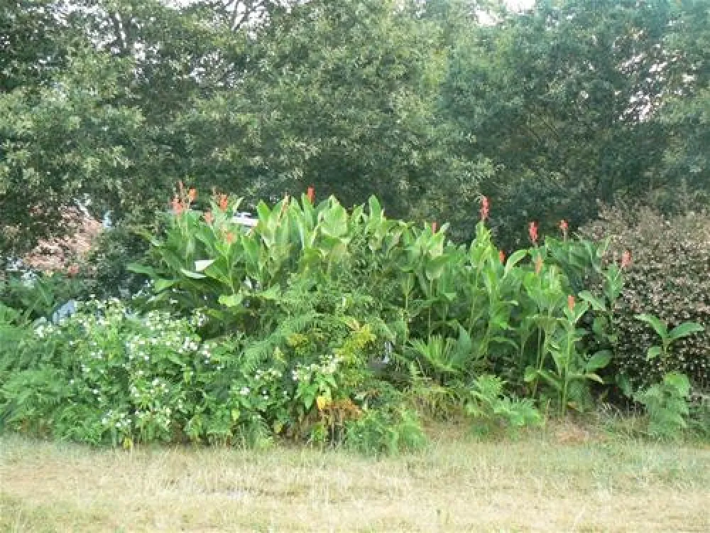 Aire Naturelle de Camping du Toy