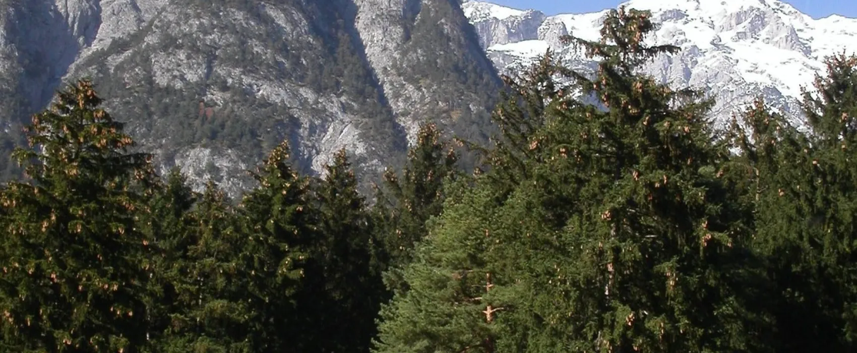 Camping Innsbruck - Kranebitterhof