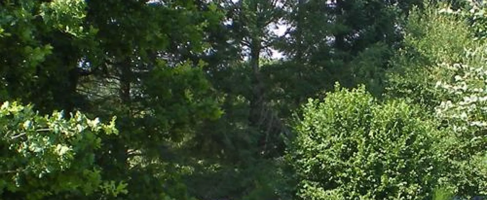 Camping  Les Quatre Saisons  