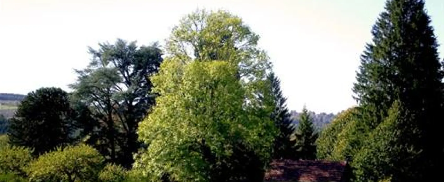 Camping  Les Quatre Saisons  