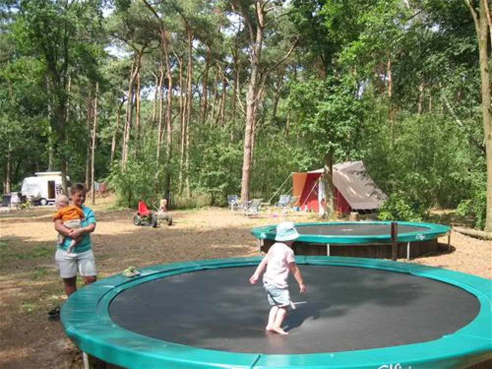 Natuurkampeerterrein Bergvlietse Bossen