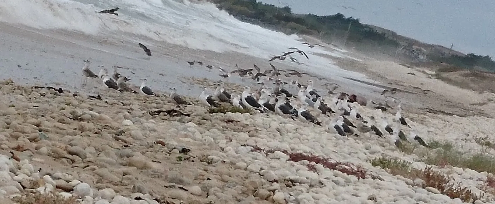 Camping Les Sables Barataud