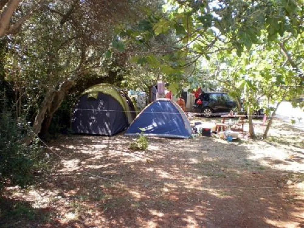 Camping Maslinik