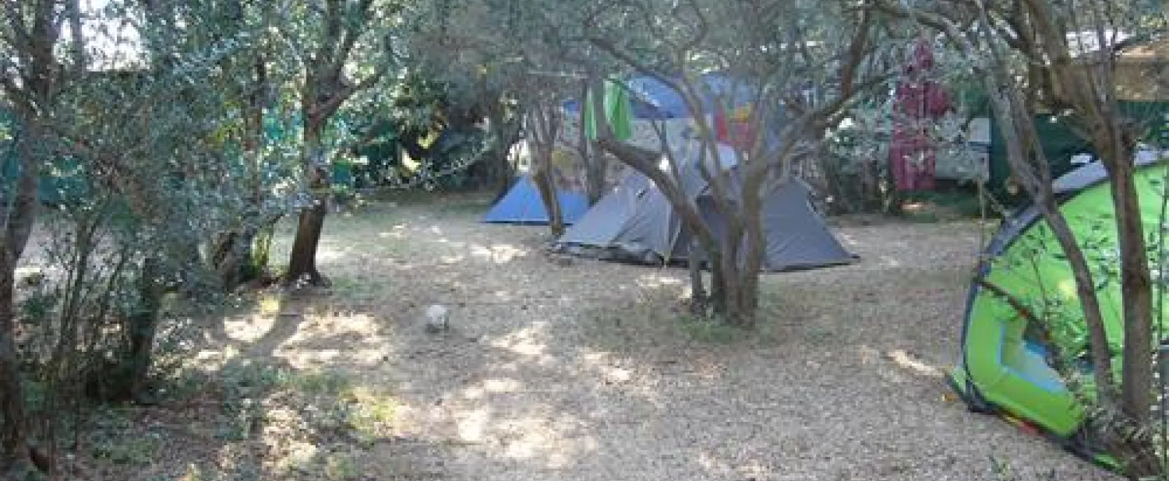 Camping Maslinik