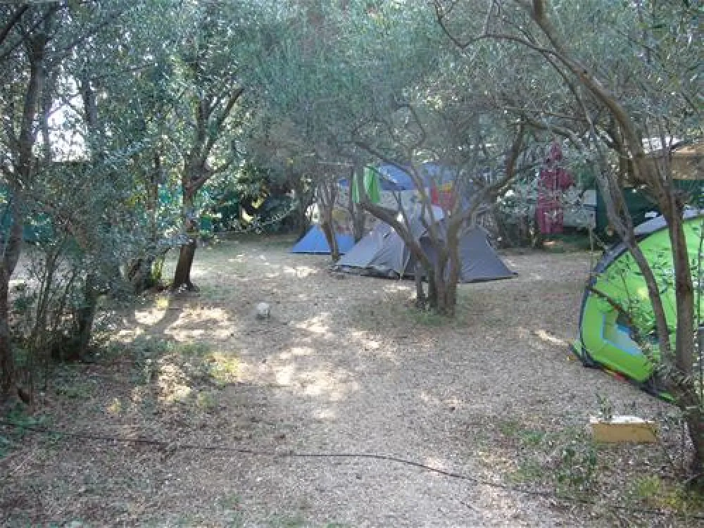 Camping Maslinik