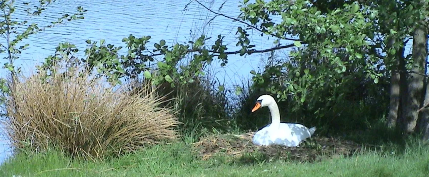 Camping Stausee Oberwald