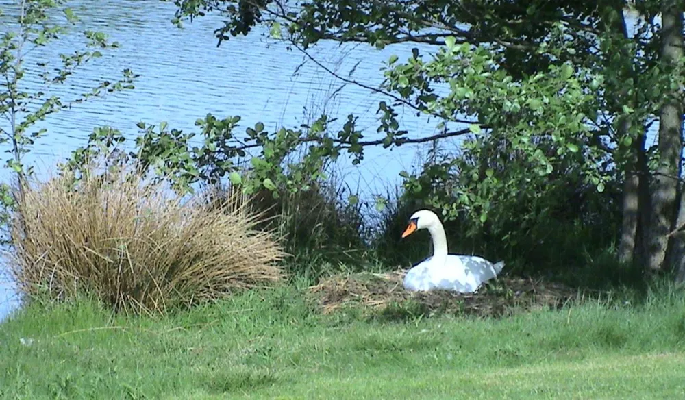 Camping Stausee Oberwald