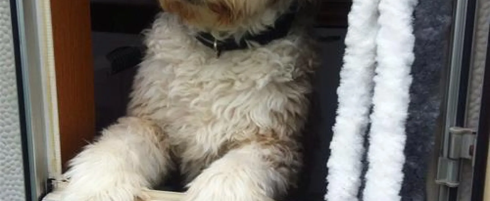 Belt-Camping-Fehmarn