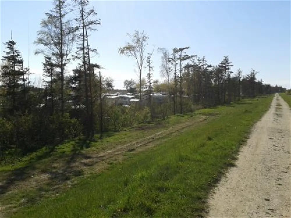 Belt-Camping-Fehmarn