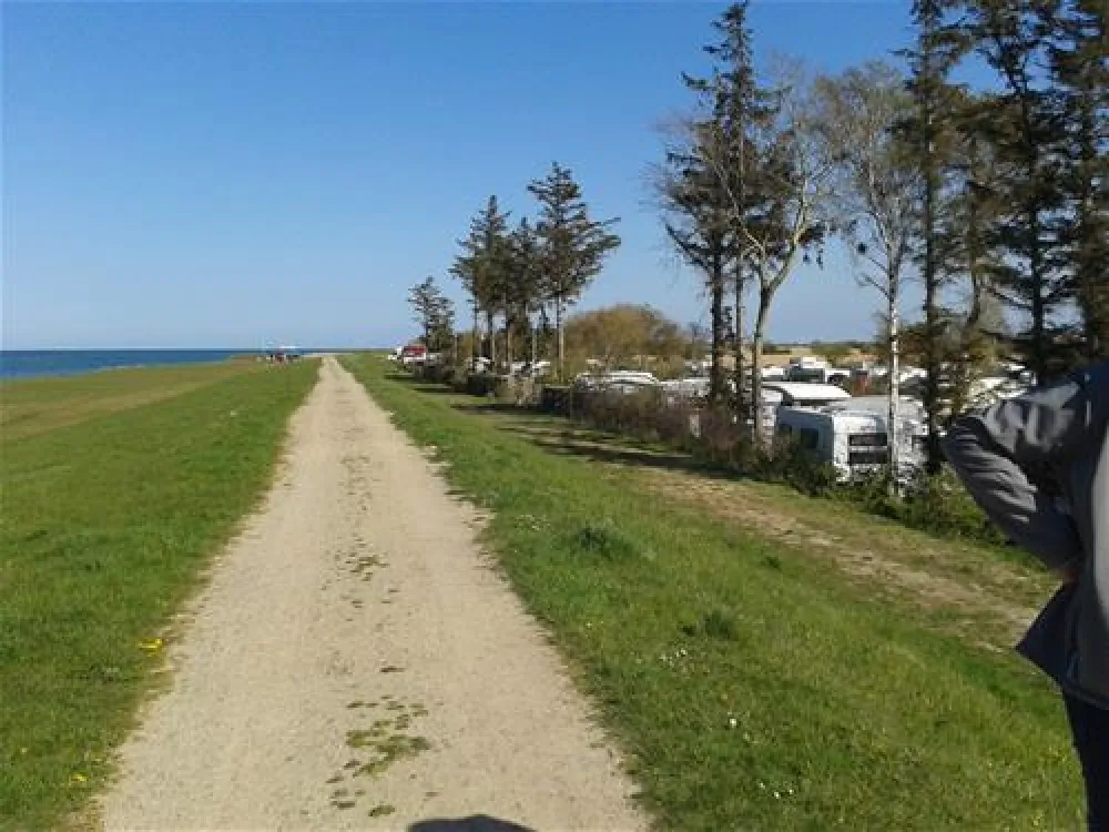 Belt-Camping-Fehmarn