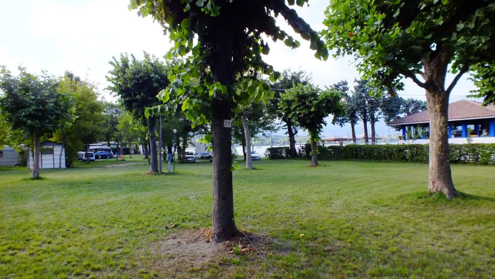 Campeggio Ideal Pieve