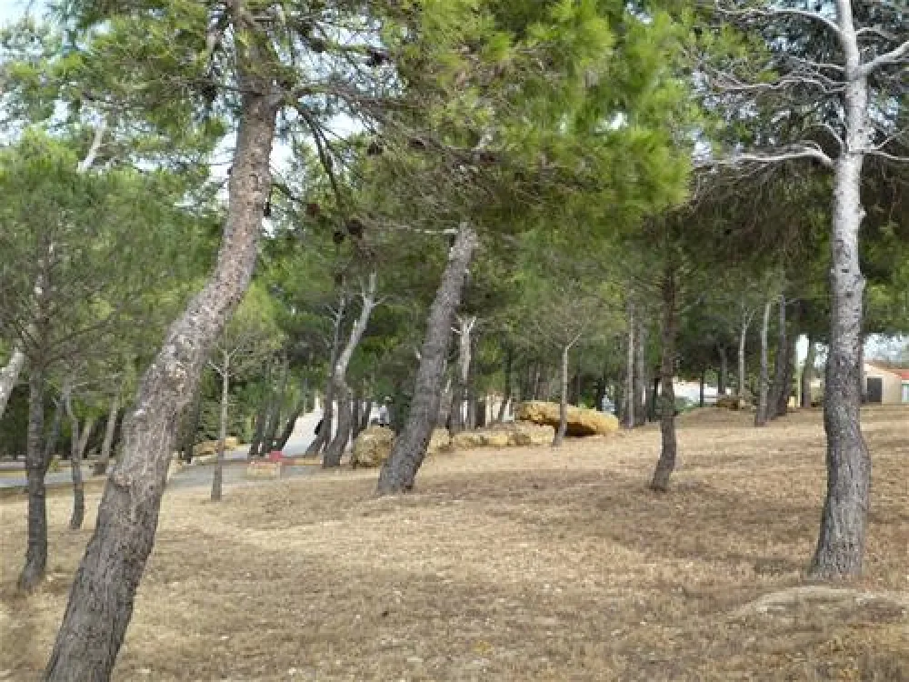 Camping La Nautique****  