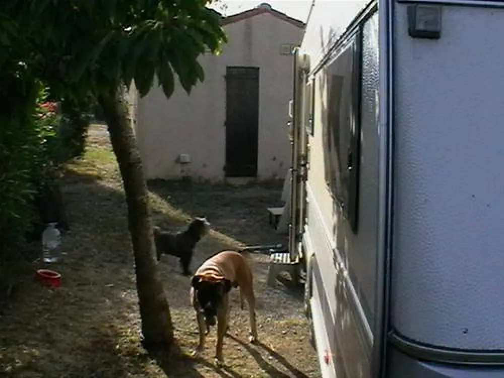 Camping La Nautique****  