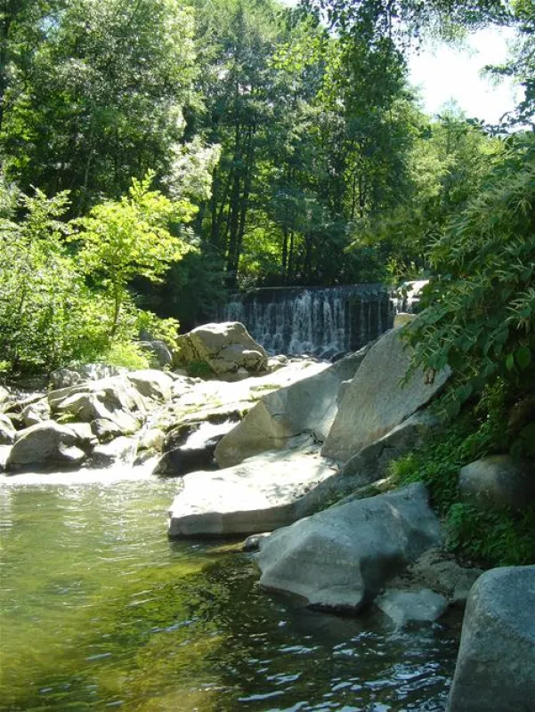 Camping la Salendrinque  