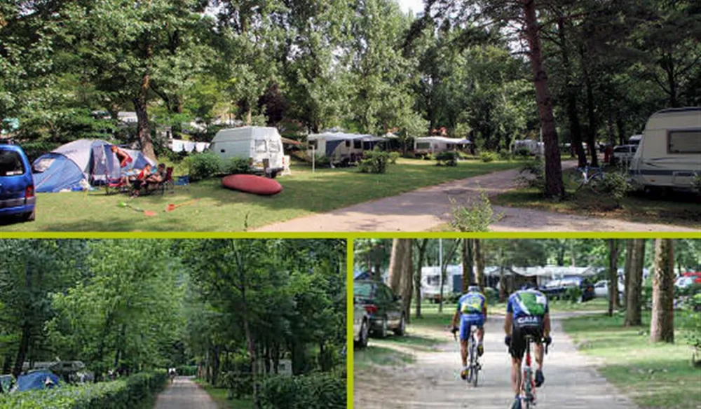 Flower Camping - Le Peyrelade  