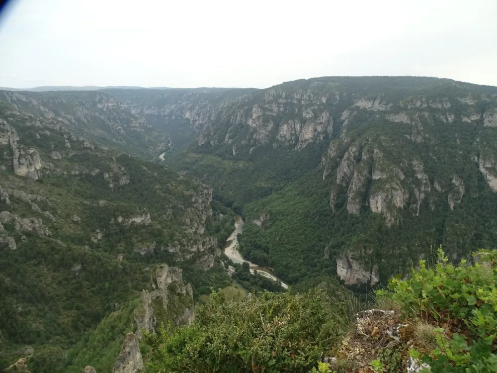 Flower Camping - Le Peyrelade  