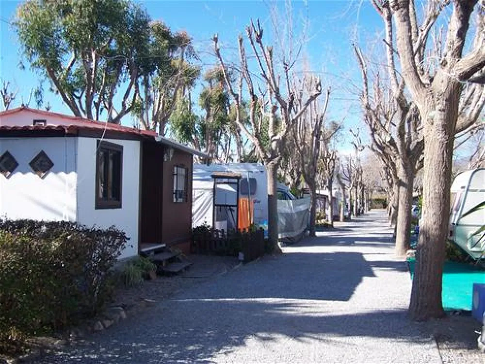 Camping Playa de Poniente