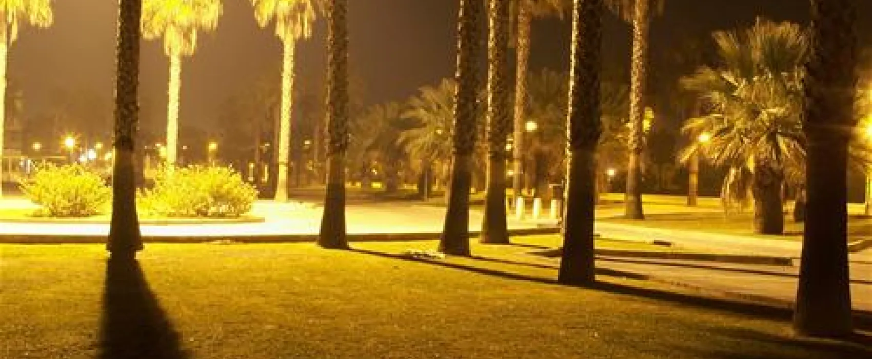 Camping Playa de Poniente