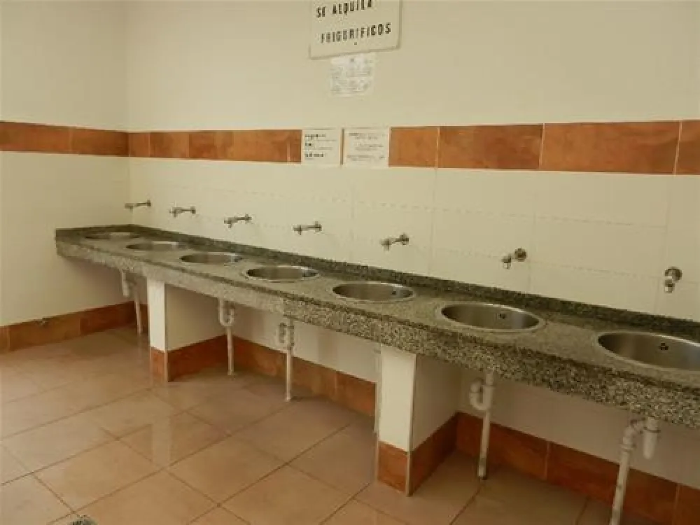 Camping Playa de Poniente