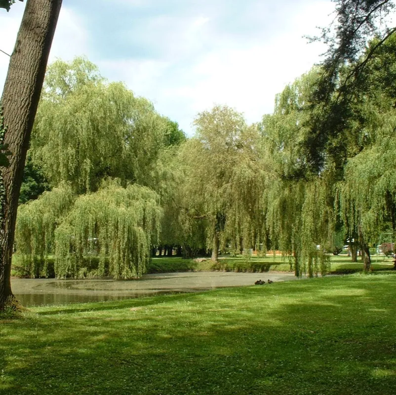 Parc Naturel De Week End