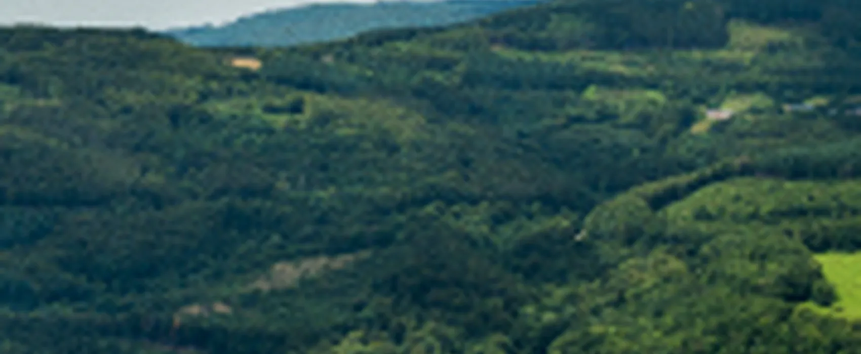 Camping Naturiste Domaine de la Gagere  