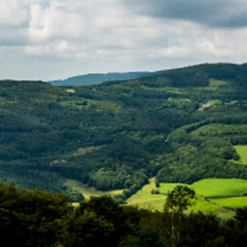 Camping Naturiste Domaine de la Gagere  