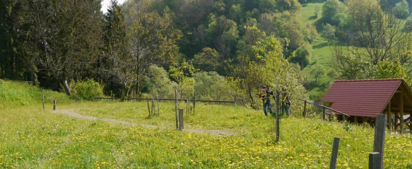 Farm camping Zelinc Slovenia