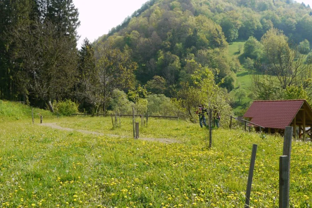 Farm camping Zelinc Slovenia