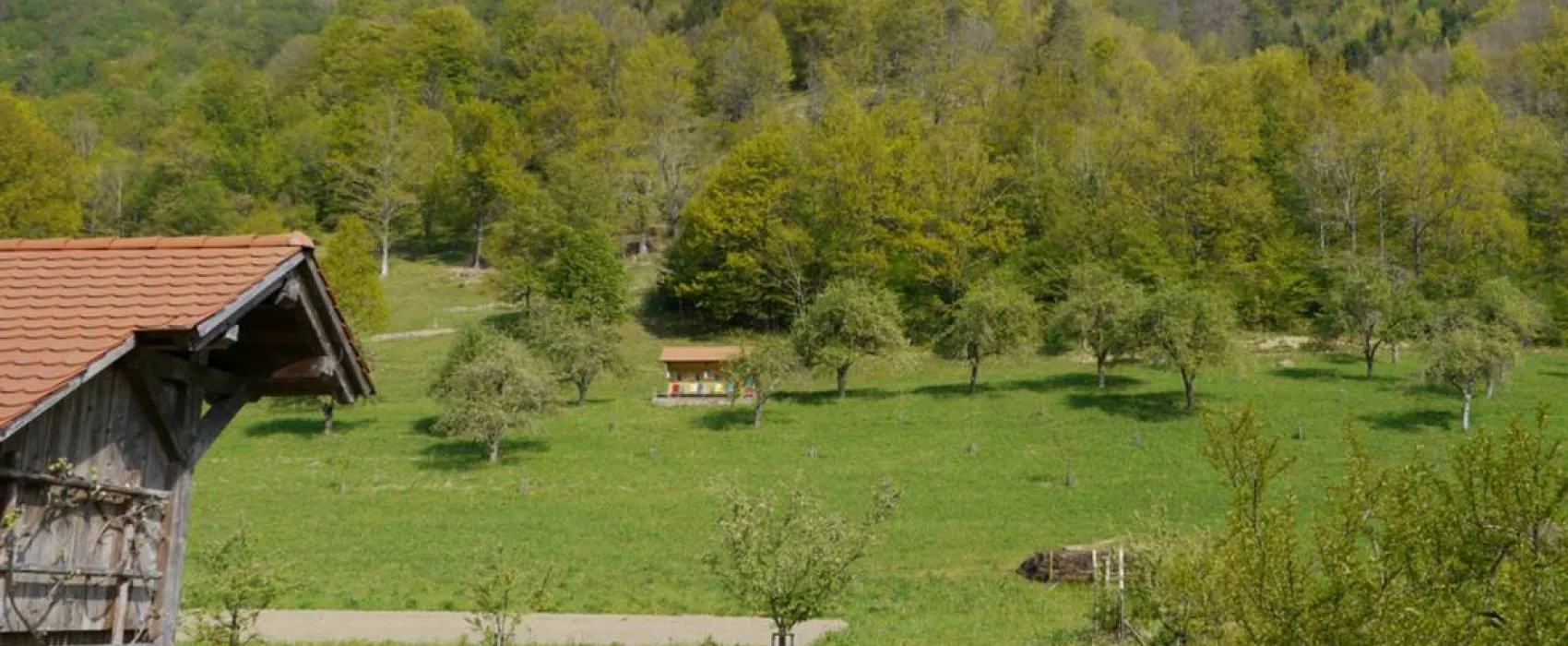 Farm camping Zelinc Slovenia
