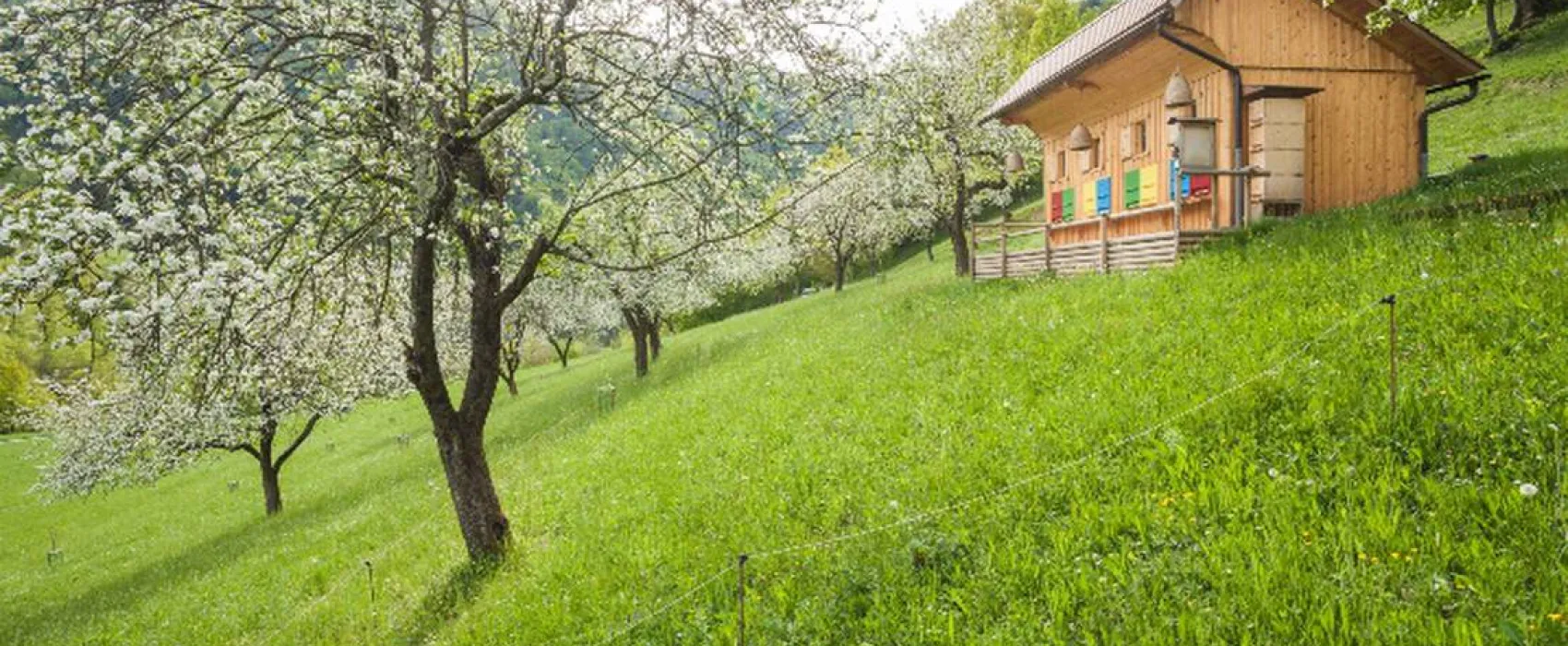 Farm camping Zelinc Slovenia