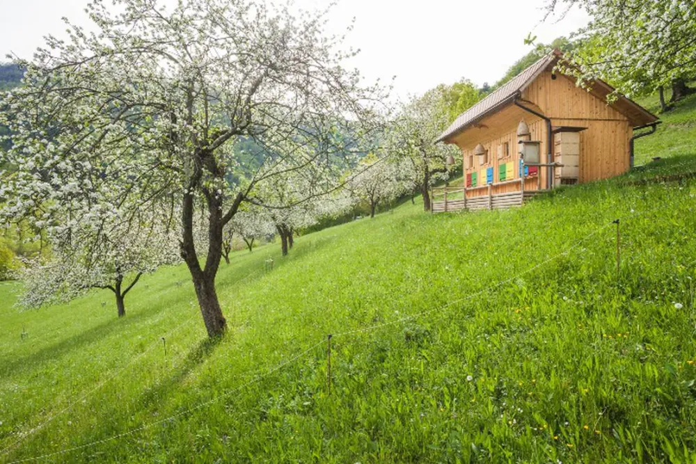Farm camping Zelinc Slovenia