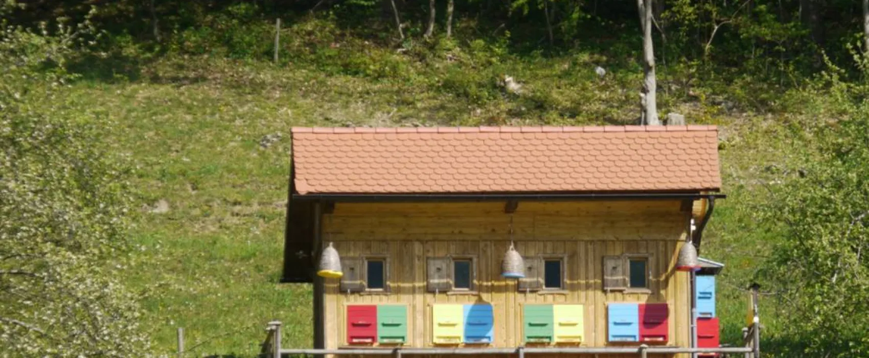 Farm camping Zelinc Slovenia