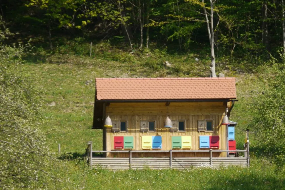 Farm camping Zelinc Slovenia