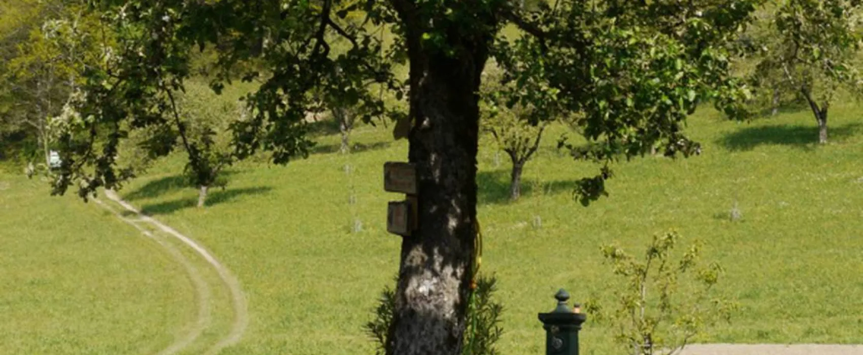 Farm camping Zelinc Slovenia