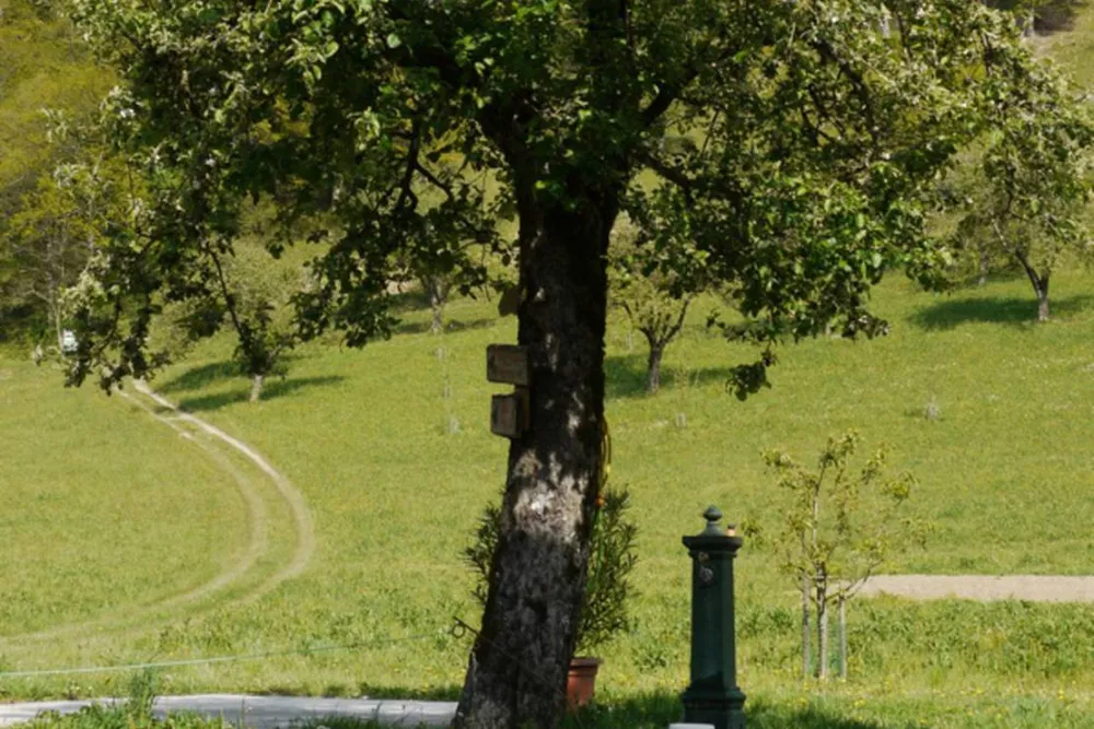 Farm camping Zelinc Slovenia