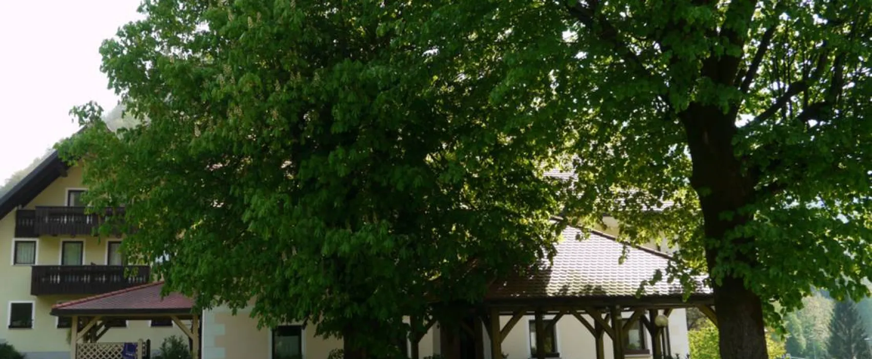 Farm camping Zelinc Slovenia