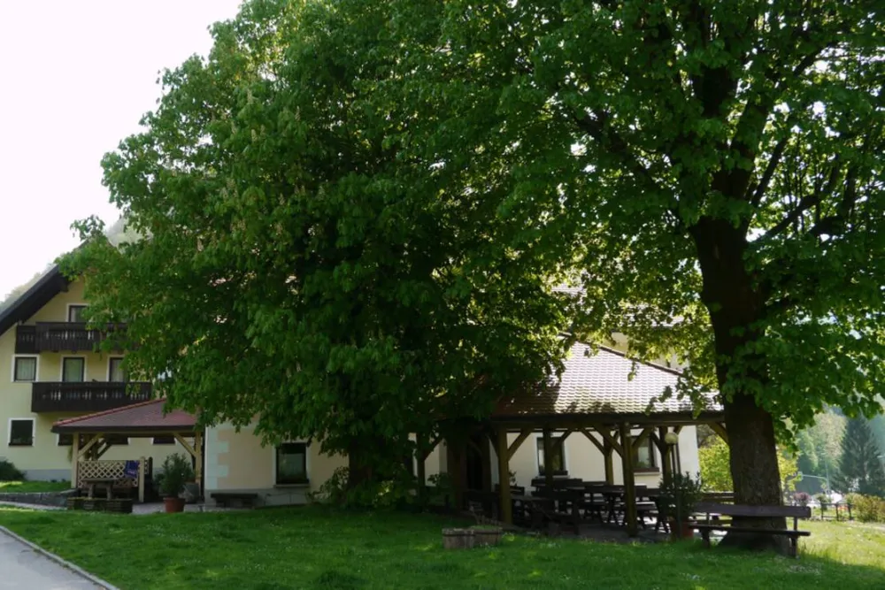 Farm camping Zelinc Slovenia