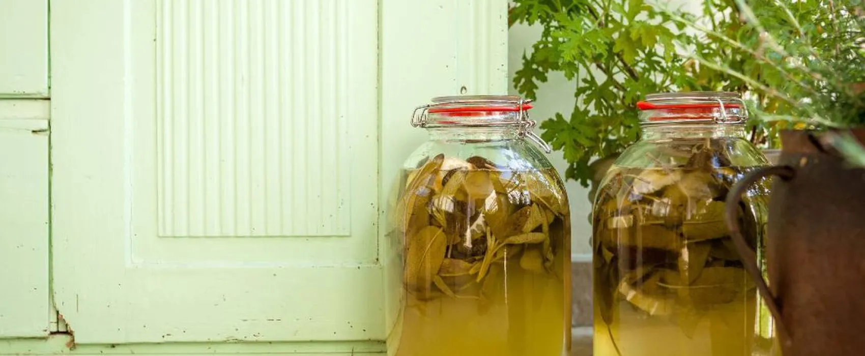 Farm camping Zelinc Slovenia