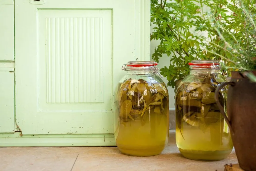 Farm camping Zelinc Slovenia