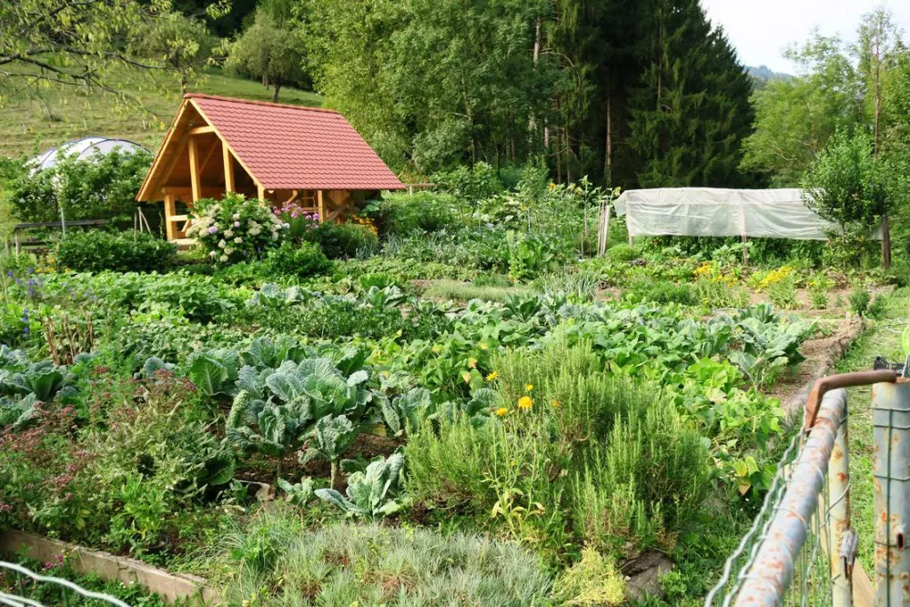 Farm camping Zelinc Slovenia