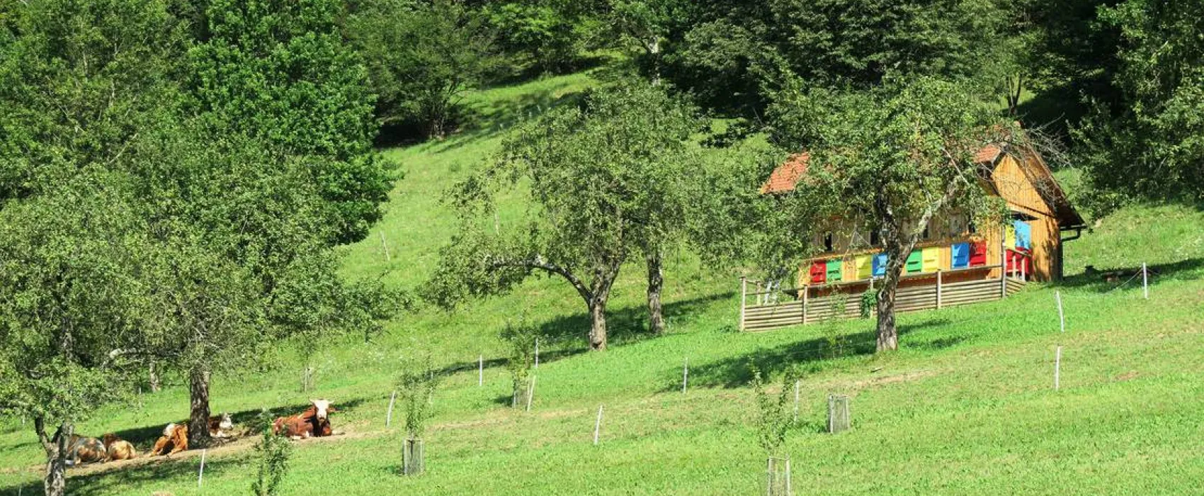 Farm camping Zelinc Slovenia