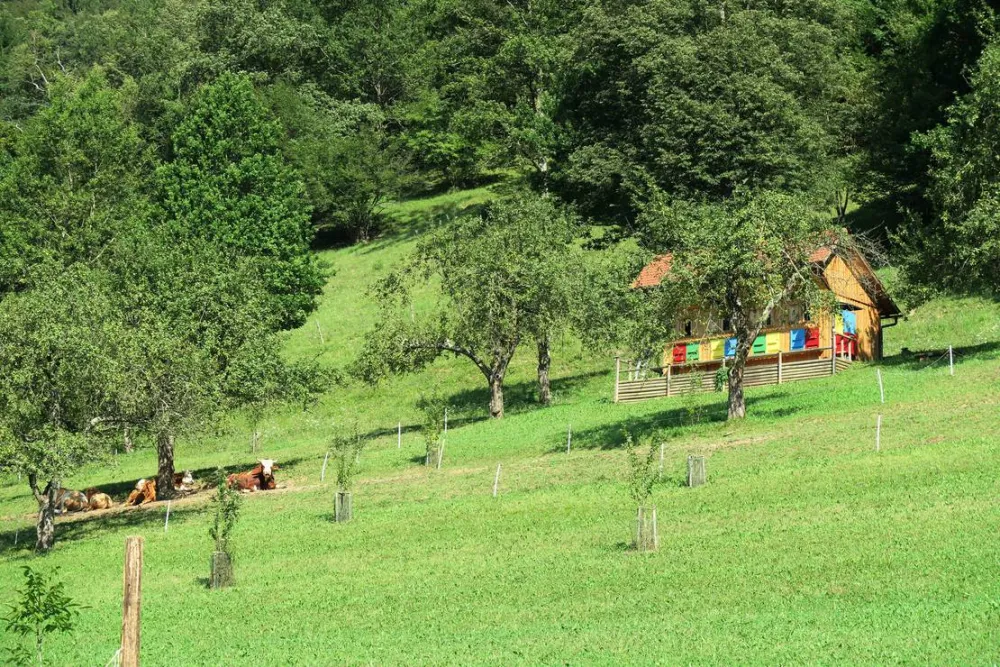 Farm camping Zelinc Slovenia