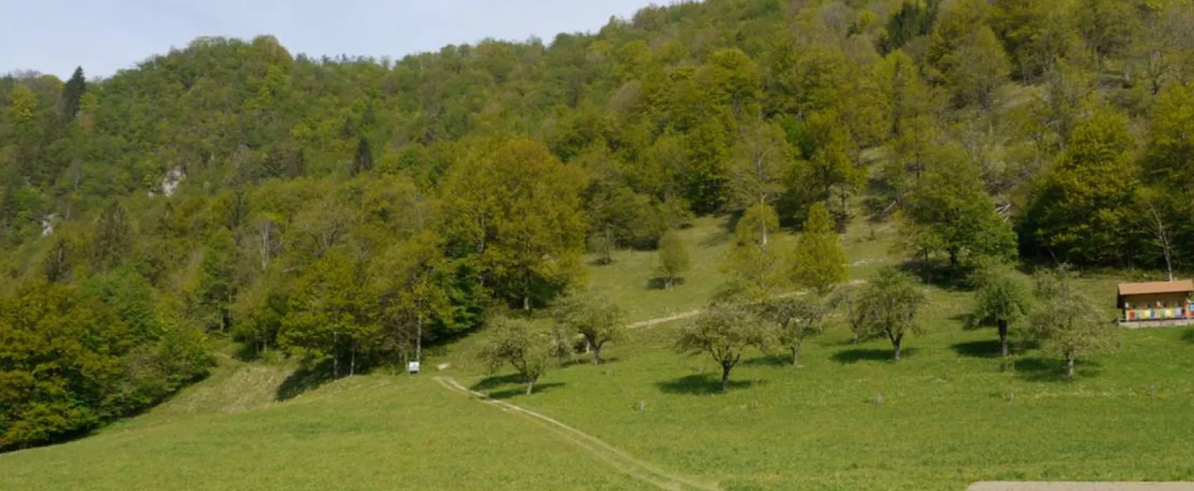 Farm camping Zelinc Slovenia