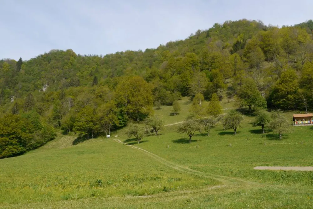 Farm camping Zelinc Slovenia