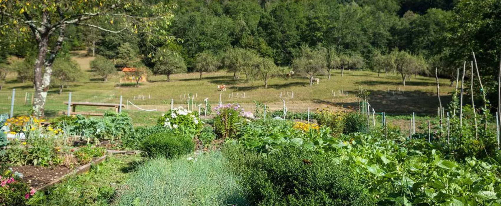 Farm camping Zelinc Slovenia