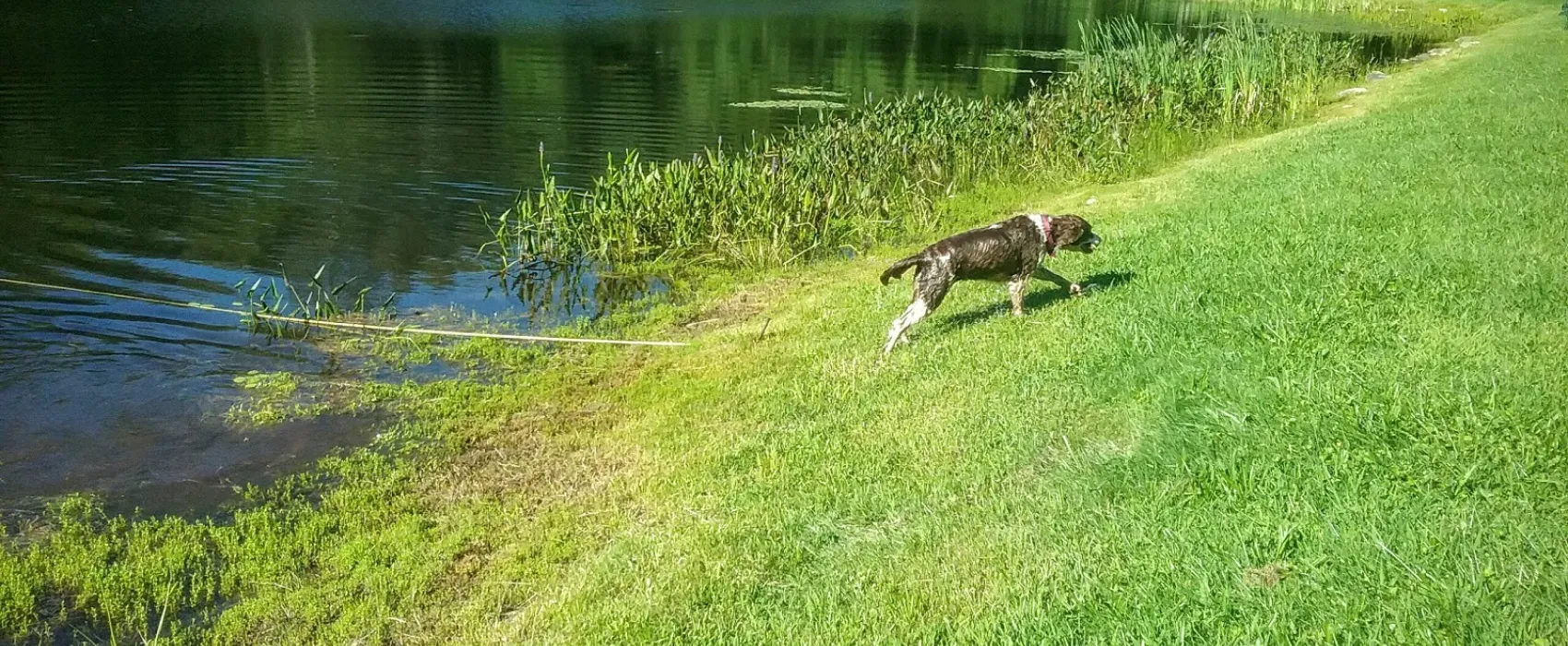 Acorn Acres Campground